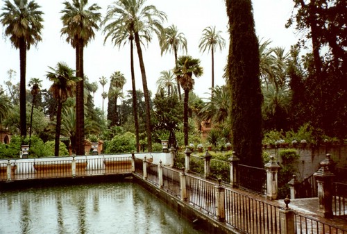 Jardin del palacio de Sevilla